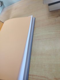 凡高 疯狂的天才画家 世界美术大师作品鉴赏 梵高画册画作