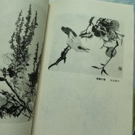 中国画技法（花鸟·山水·人物）