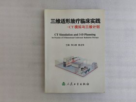 三维适形放疗临床实践:CT模拟与三维计划