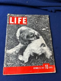 1937年10月美国生活杂志，Life Magazine，顾祝同将军等在研究上海地图，蒋夫人和顾问在一起，日军南京轰炸，