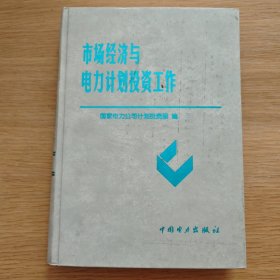市場(chǎng)經(jīng)濟(jì)與電力計(jì)劃投資工作【精裝16開】
