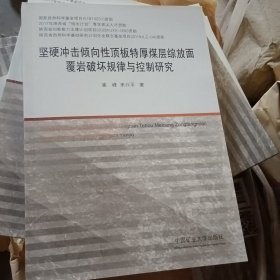 坚硬冲击倾向性顶板特厚煤层综放面覆岩破坏规律与控制研究 9787564649050