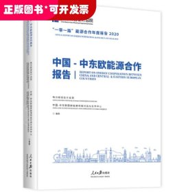 中国中东欧能源合作报告