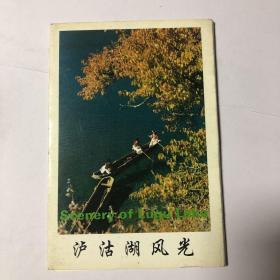 泸沽湖风光明信片