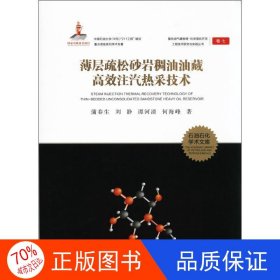 正版薄层疏松砂岩稠油油藏高效注汽热采技术蒲春生 等 著中国石油大学出版社9787563649648