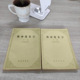 精神现象学(上下)