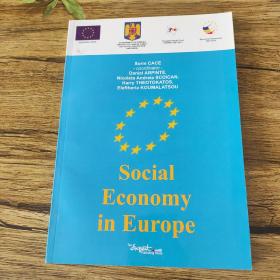 social economy in europe