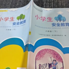 小学生安全教育六年级下