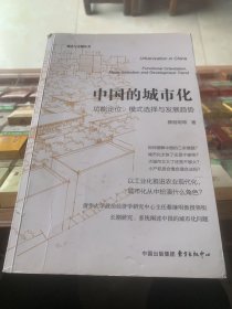 中国的城市化：功能定位、模式选择与发展趋势a2