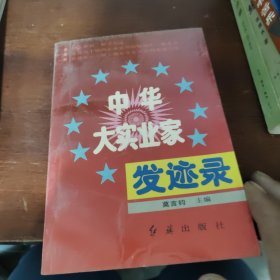 中华大实业家发迹史