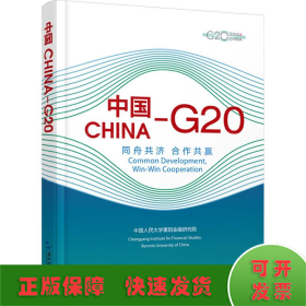 中国-G20