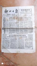 柳州日报1966，4.19