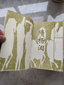 隋杨泪 （缺外封）