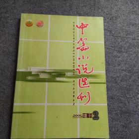 中篇小说选刊 2004  2