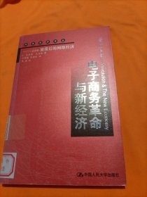 电子商务革命与新经济：com崩溃后的网络经济