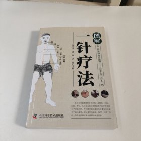 图解一针疗法