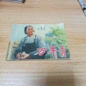 70年代连环画：万年青