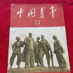 中国青年1960年23期