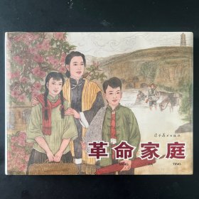 《革命家庭》32开大精，韩和平 端木勇绘，辽美出品