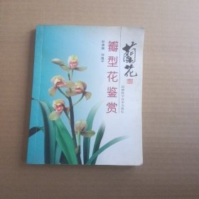 兰花瓣型花鉴赏