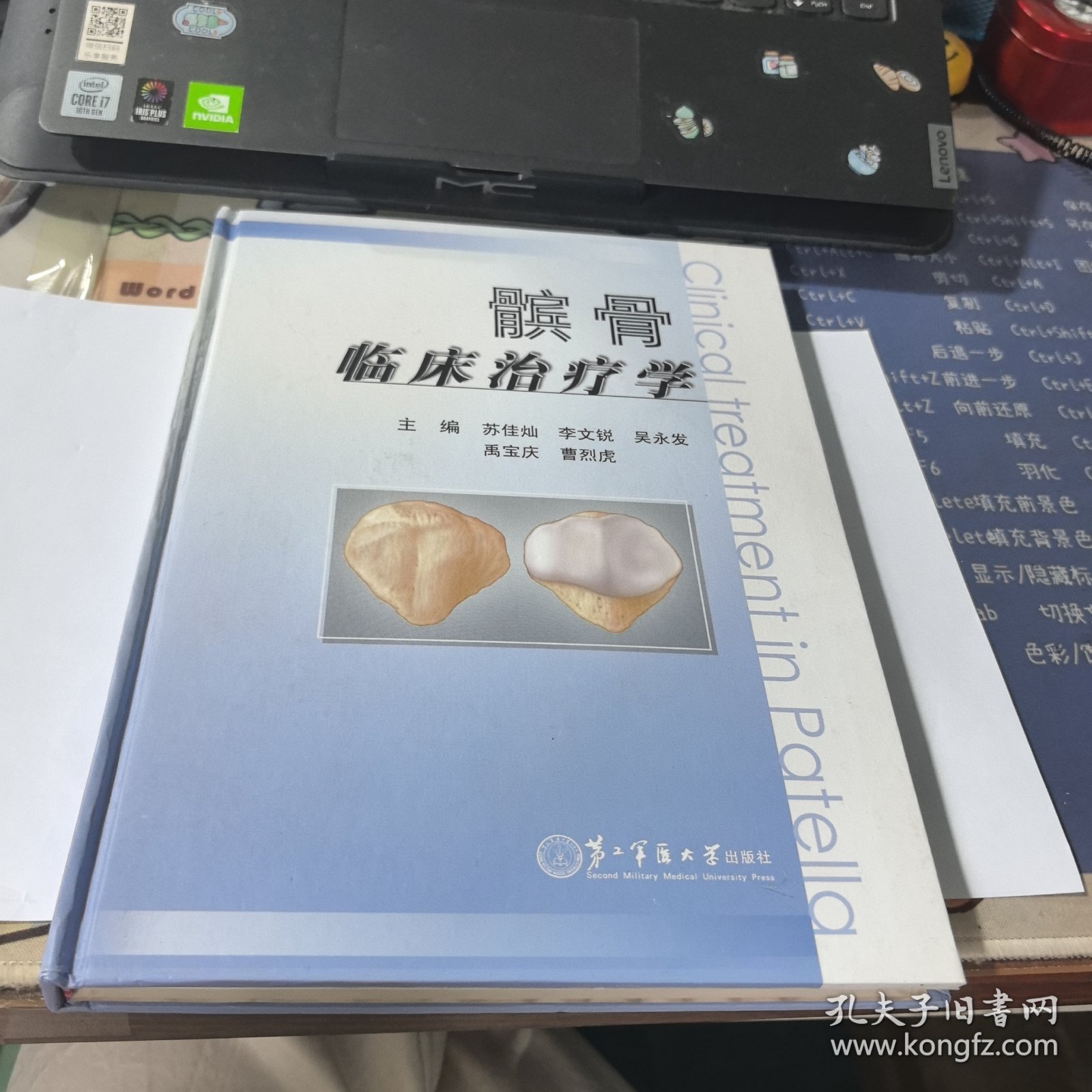 髌骨临床治疗学