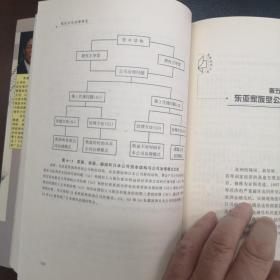 现代公司治理研究:资本结构、公司治理和国有企业股份制改造