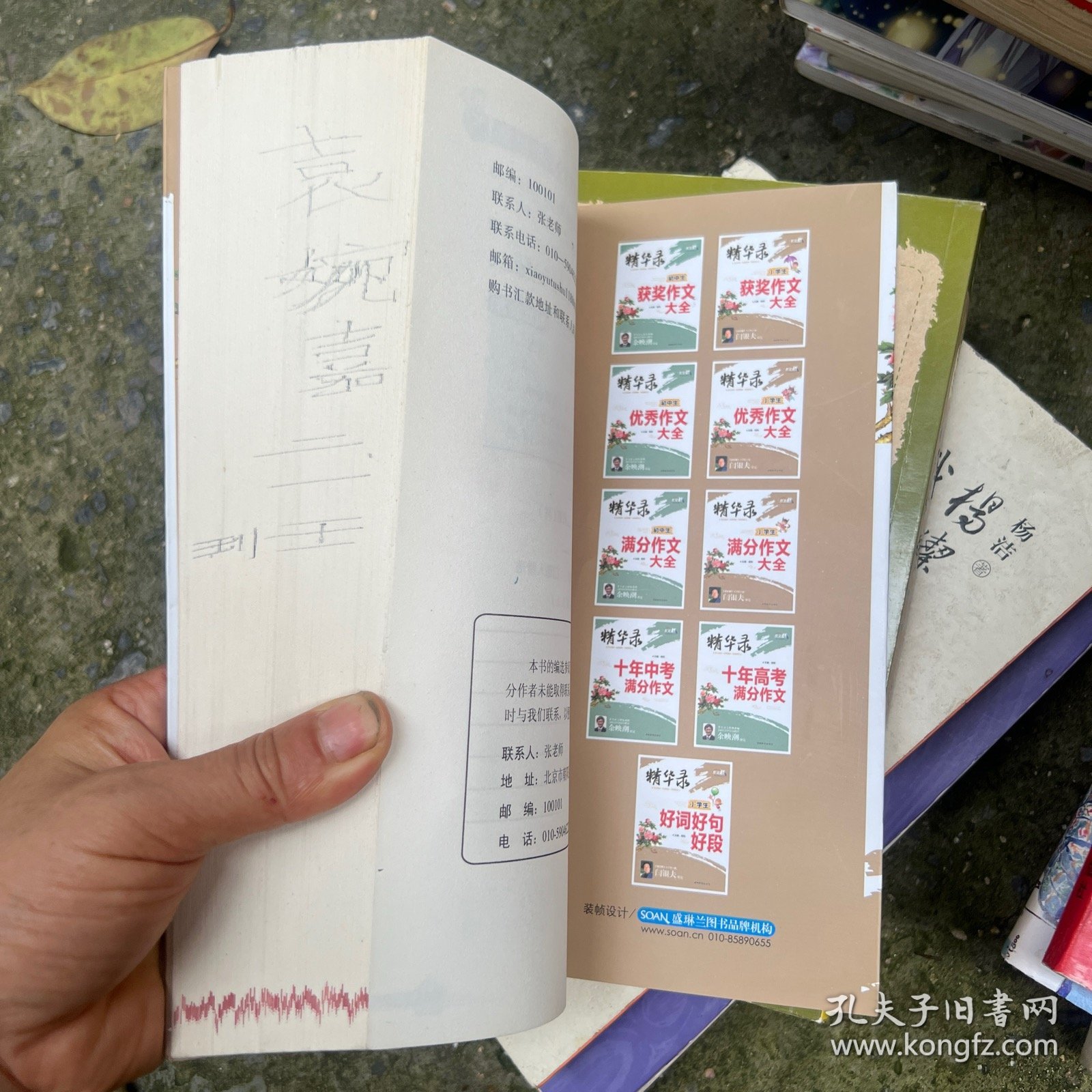 作文桥·精华录：小学生满分作文大全