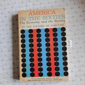 32开英文原版 America in the sixties ：The economy and the society