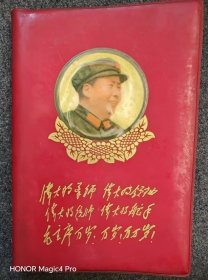 林题日记本