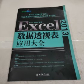 Excel 2013数据透视表应用大全