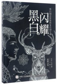 黑白闪耀(黑白创意装饰图案绘制宝典)