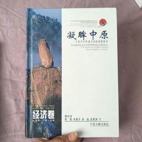 凝眸中原：中国经济快速发展的第四板块 （经济卷）