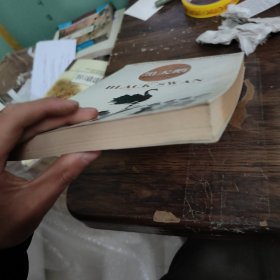 黑天鹅：如何应对不可知的未来