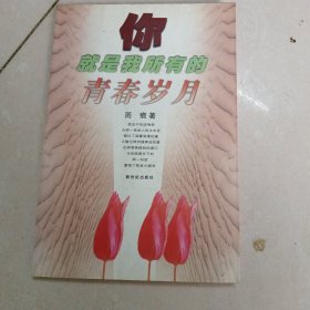 你就是我所有的青春岁月