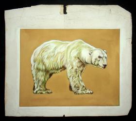 约5-70年代水粉画，熊？