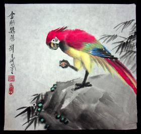 刘王斌画《金刚鹦鹉》尺寸36.2*35.3cm