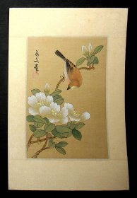 80年代绢上手绘，子文画《花和鸟》