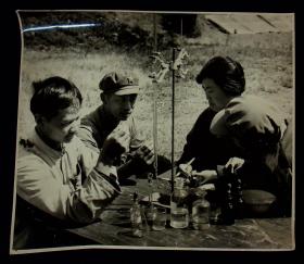 70年代大照片《“五七”干校的科学实验小组》尺寸29.2*25.1cm