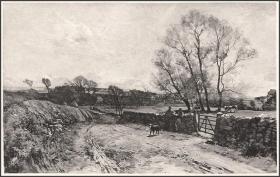 1888年照相凹版《贝利克郡景色》，35.9×26.3cm