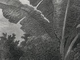 【早期印版】《夏娃把果子给亚当》—法国画家Joseph Urbain Melin(1814 - 1886年)作品 19世纪大幅铜版画 雕刻师Moret & Ch. Lalaisse 纸张尺寸45.5*34.5厘米 弥尔顿失乐园系列