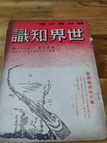 1947年《世界知识》刊大幅“东北战局形势图”