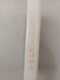 北京旅游文化研究专家 地质大学教授 谷上礼 旅行考察影像旧藏 遥感地质解译标志等相关景观彩色反转底片一组，97张底片『坐拥百城CYGJ20250427HY06』