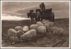 1885年蚀刻版画《英国东南部丘陵草原的黄昏夕照》，32.5*23.7cm
