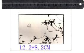 约1980年前后艺术摄影老照片太湖风光，照片纯尺寸12.2*8.2CM