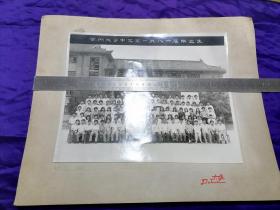 【苏州教育史料（苏州大学版）】改革开放初期的天之骄子！苏州大学中文系1986届毕业生大幅合影一张，1986年合影，尺寸如图，连底版40*32，