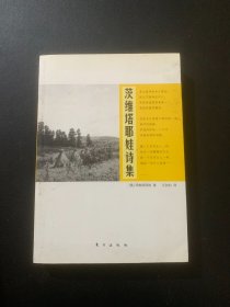 茨维塔耶娃诗集