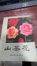 山茶花1981年3月一版一印