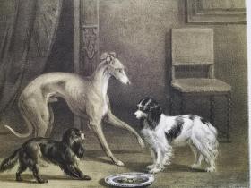 1851年石版画《三位好友drie honden》尺寸34*25.7厘米--出自荷兰动物画家,康拉迪恩·库内乌斯Conradyn Cunaeus，1828-1895，油画作品，尤其以狗为主，荷兰出版