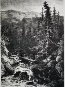 1872年石版画《山林景观landschap》尺寸33.5*26厘米，出自荷兰风景画家Johannes Wernardus Bilders,（1811-1890）油画作品，雕刻师：j.j.mesker,荷兰出版