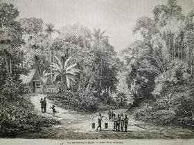 1864年木刻版画《印度尼西亚.植被茂密的景色vue des environs de boghor》尺寸30*21.7厘米，反面有字，出自m.de molins的图片